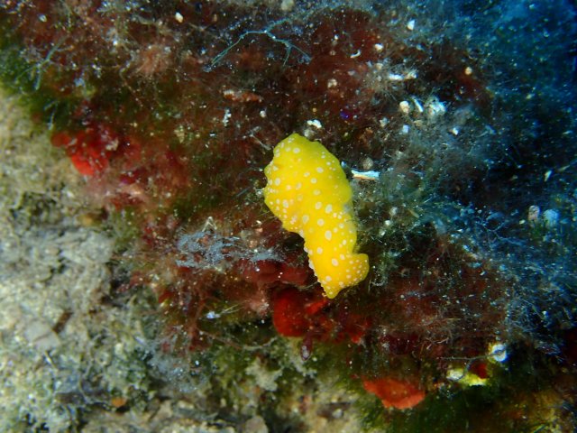 foto 31.05.19 21 13 25